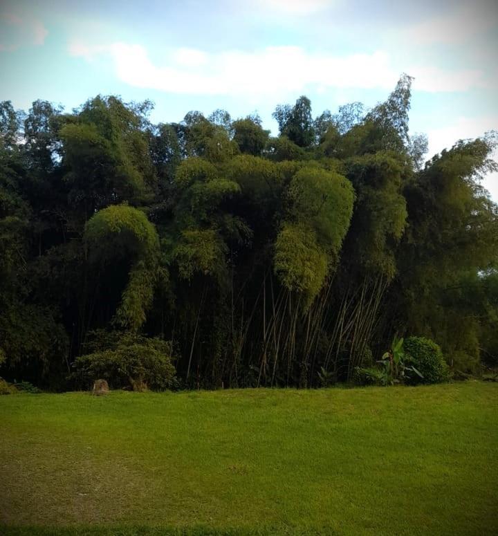 Filandia - Finca Rural La Guadalupana Hotel Kültér fotó
