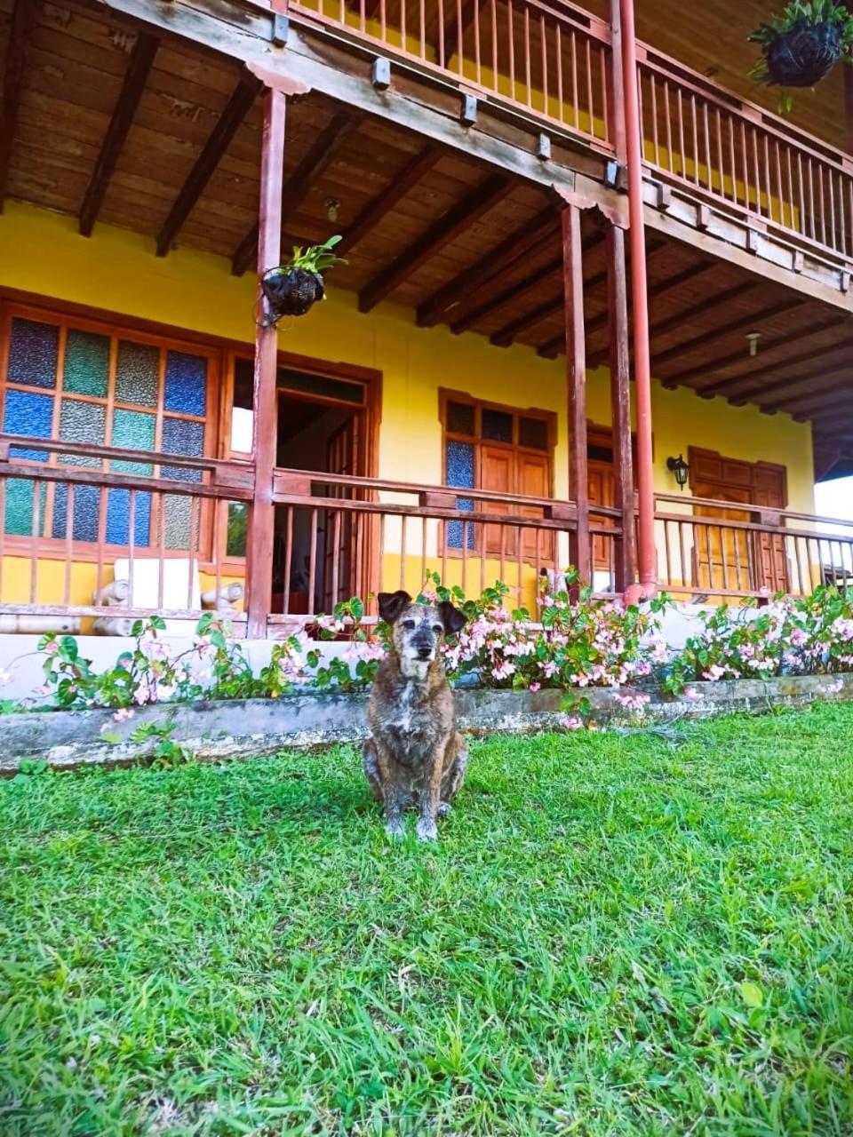 Filandia - Finca Rural La Guadalupana Hotel Kültér fotó