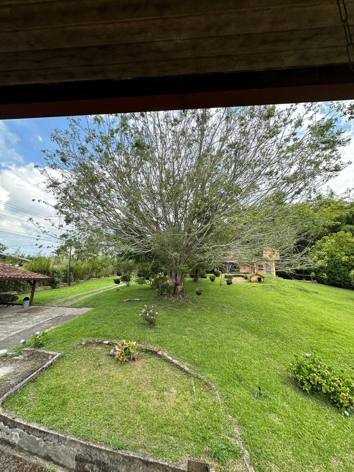 Filandia - Finca Rural La Guadalupana Hotel Kültér fotó